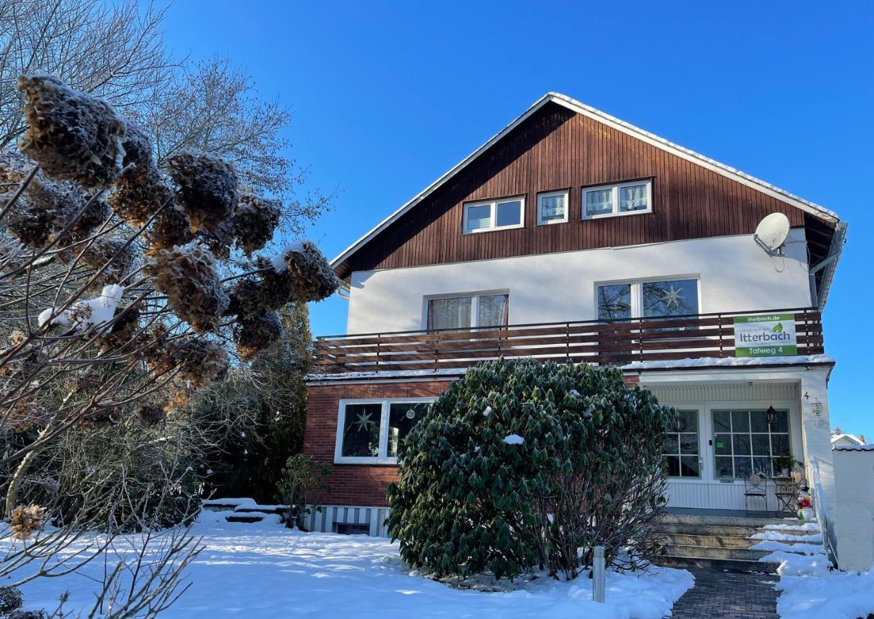 Landhaus Am Itterbach Willingen Willingen  Buitenkant foto